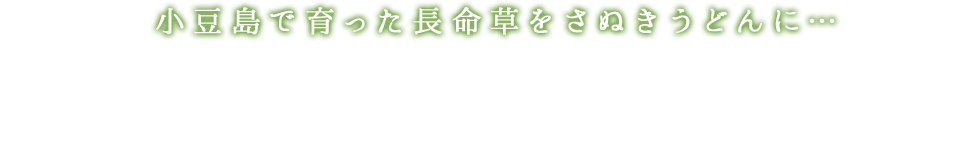 小豆島で育った長命草をさぬきうどんに…いつまでも健康でいてほしいから。