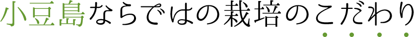 小豆島ならではの栽培のこだわり