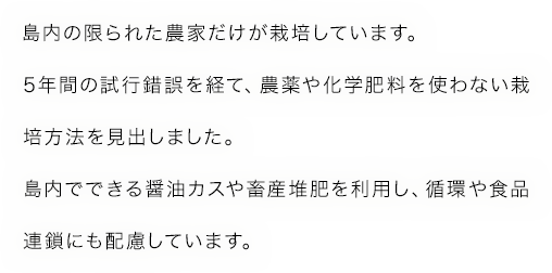 島内の限られた農家だけが栽培しています。5年間の試行錯誤を経て、農薬や化学肥料を使わない栽培方法を見出しました。島内でできる醤油カスや畜産堆肥を利用し、循環や食品連鎖にも配慮しています。