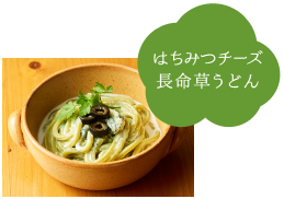 はちみつチーズ長命草うどん
